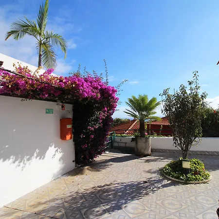 Oda ve Kahvaltı Lusitania Funchal